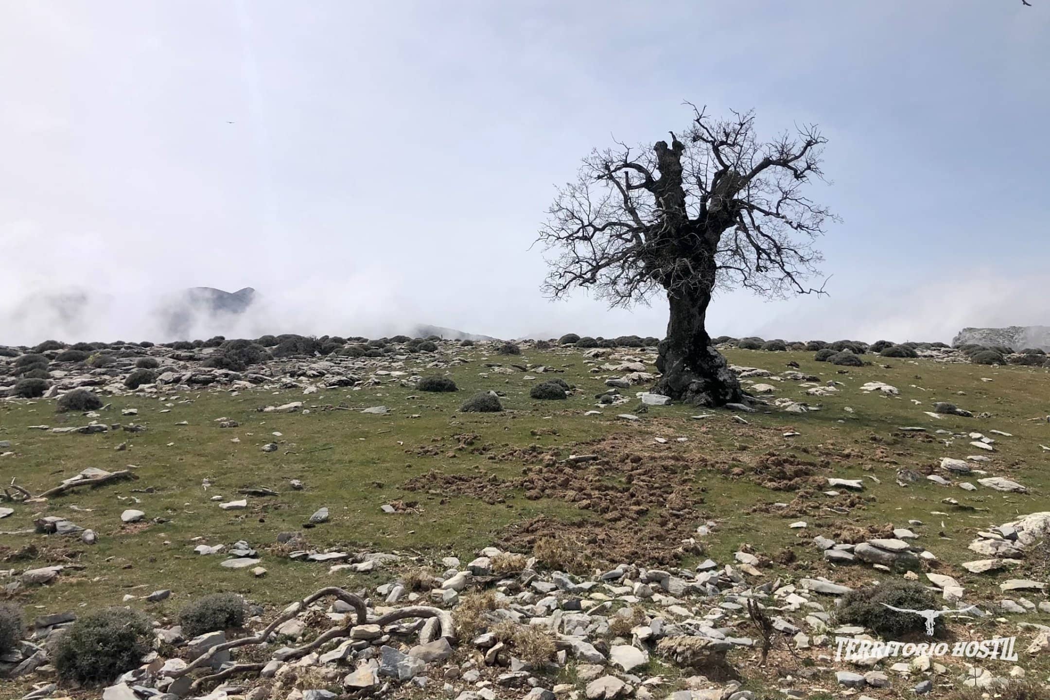 Pico Peñón de los Enamorados (9)